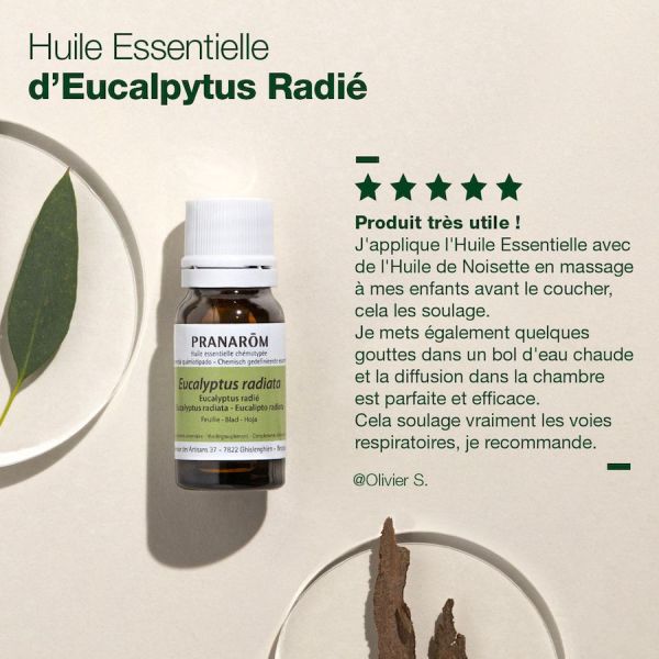 L’Huile Essentielle d’Eucalyptus Radié : l’indispensable de la saison 💚